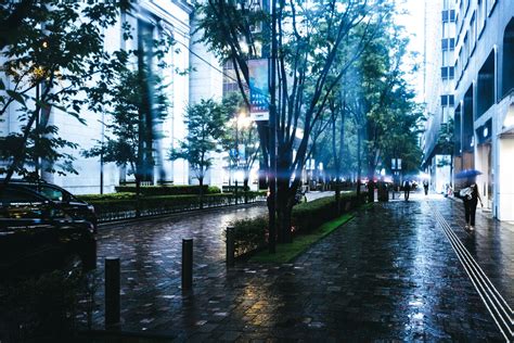 雨日|雨